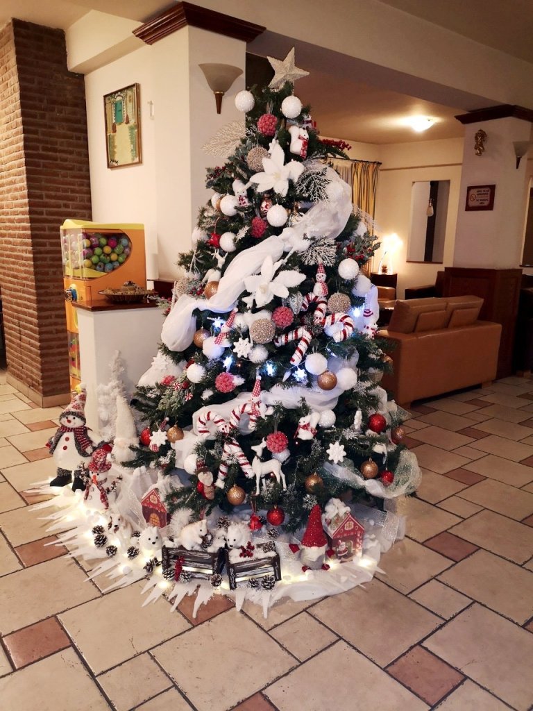 Hotel for sale (Ref: 4102) - photo 8