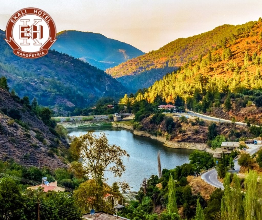 Hotel for sale (Ref: 4102) - photo 15