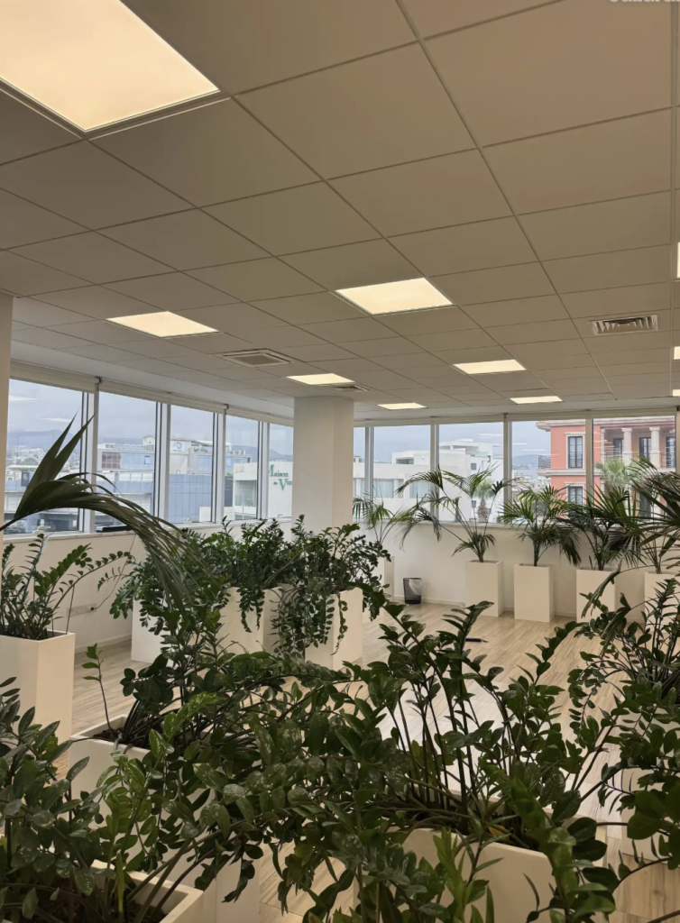 Office for rent (Ref: 4676) - photo 2